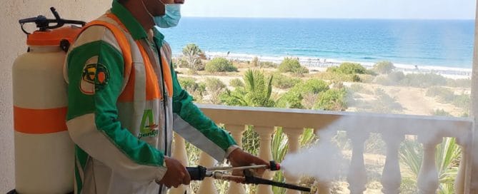 افضل شركة مكافحة حشرات في الغردقة