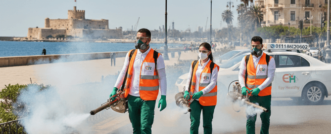 شركة مكافحة حشرات فى الاسكندرية