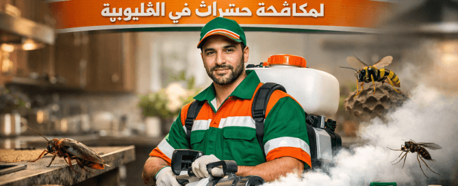 مكافحة حشرات في القليوبية