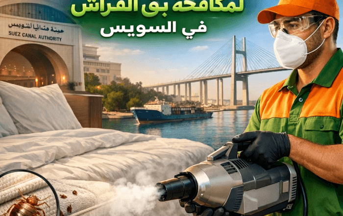 مكافحة حشرات في السويس