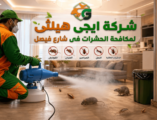 شركة مكافحة حشرات في شارع فيصل 01018620602 خصم 60%