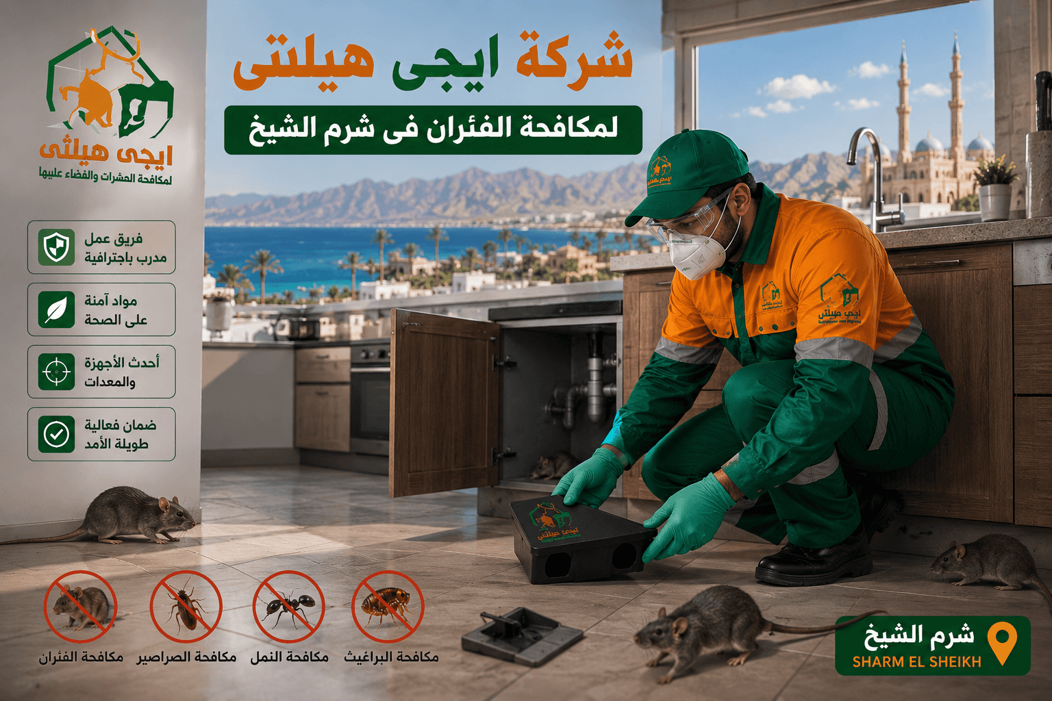 مكافحة الفئران والقوارض في شرم الشيخ