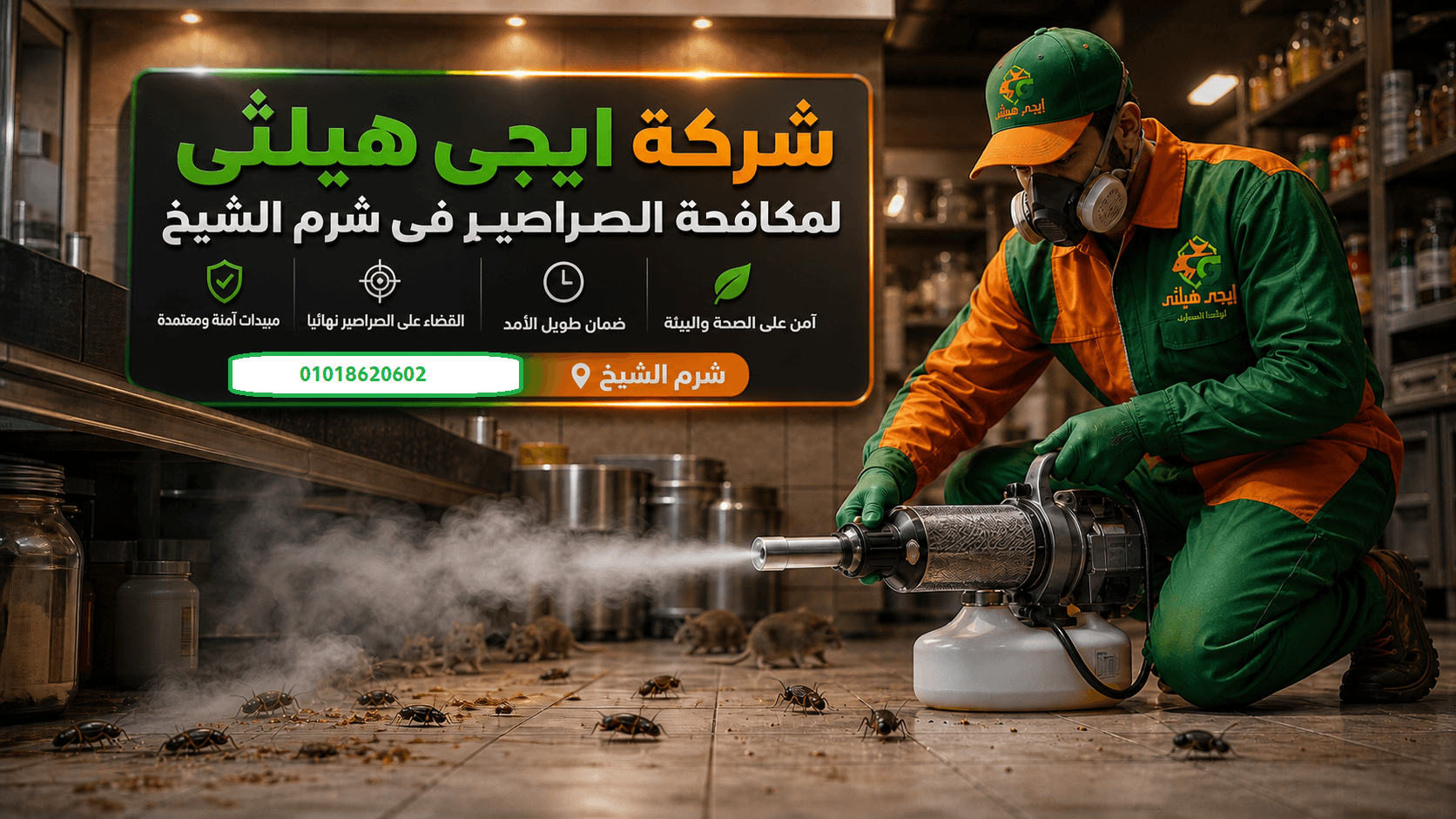مكافحة الصراصير في شرم الشيخ