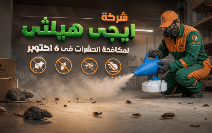 شركة مكافحة حشرات في 6 أكتوبر