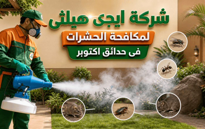 شركة مكافحة حشرات في حدائق اكتوبر