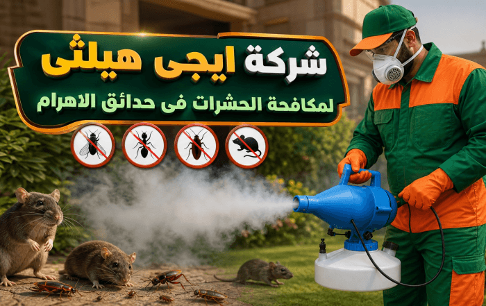 شركة مكافحة حشرات في حدائق الاهرام
