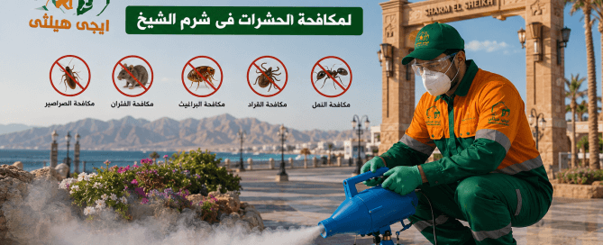 شركة مكافحة حشرات في شرم الشيخ