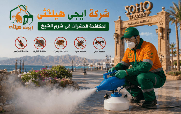 شركة مكافحة حشرات في شرم الشيخ