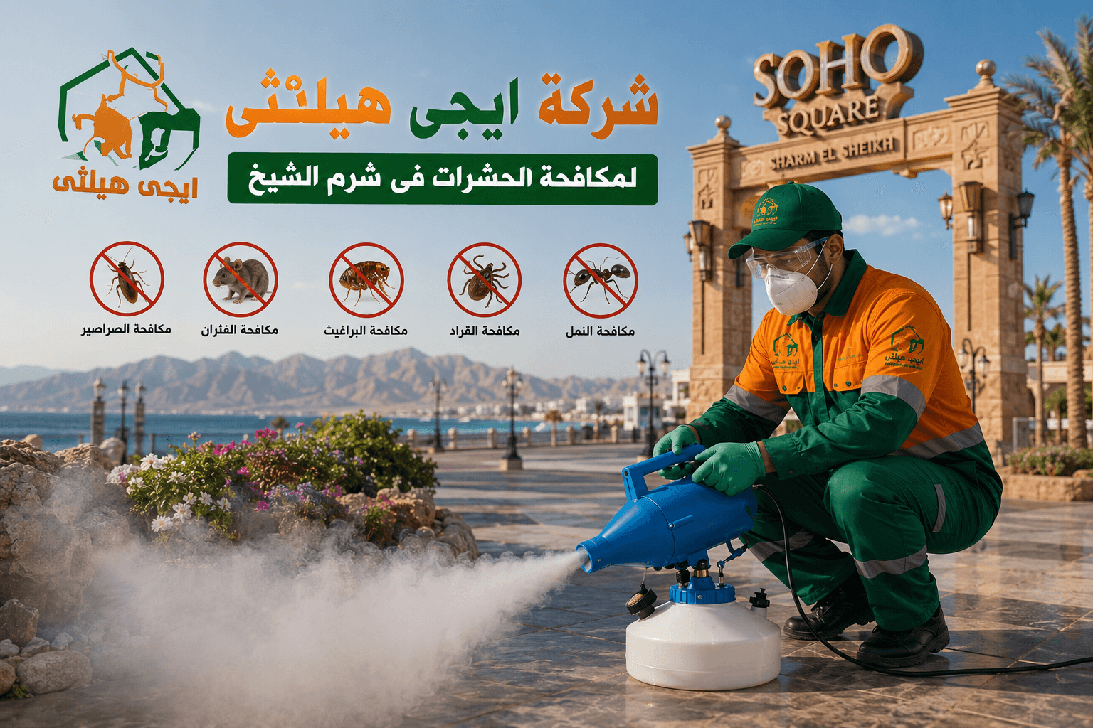 شركة مكافحة حشرات في شرم الشيخ