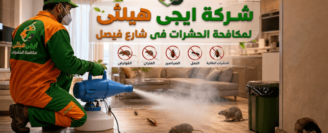 شركة مكافحة حشرات في فيصل