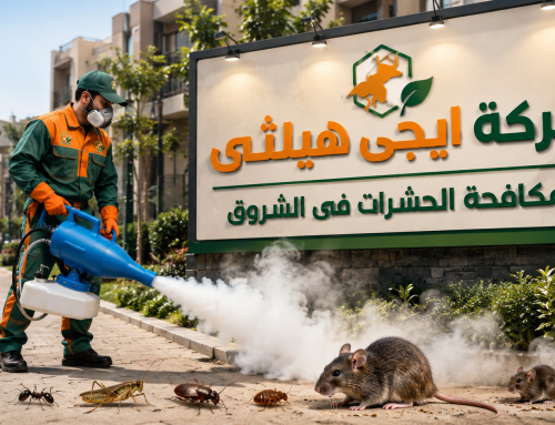 شركة مكافحة حشرات في الشروق 01018620602 خصم 50%
