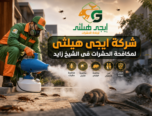 شركة مكافحة حشرات في الشيخ زايد 01018620602 خصم 60%