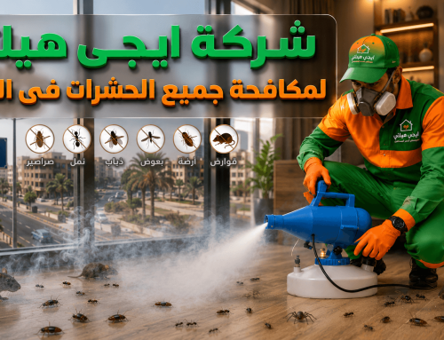 شركة مكافحة حشرات في العبور 01018620602 خصم 60%
