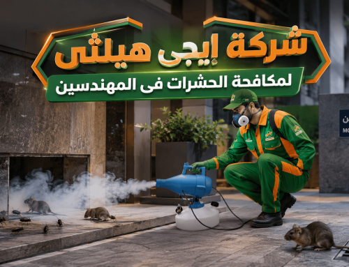 شركة مكافحة حشرات في المهندسين 01018620602 خصم 50%