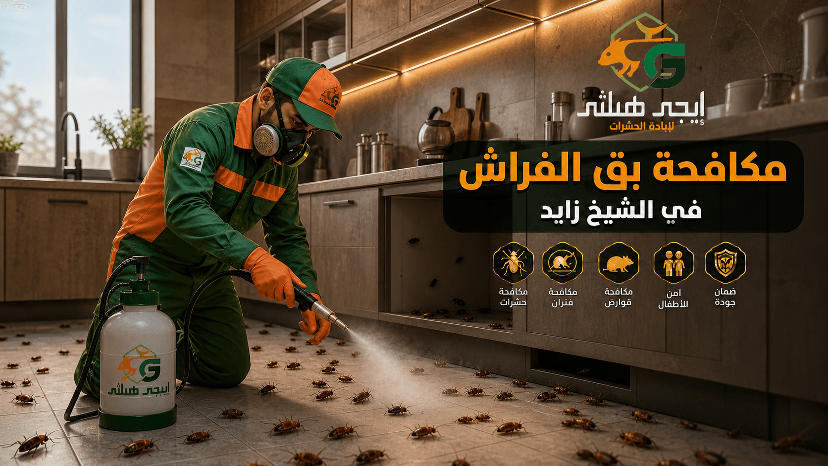 مكافحة الصراصير في الشيخ زايد
