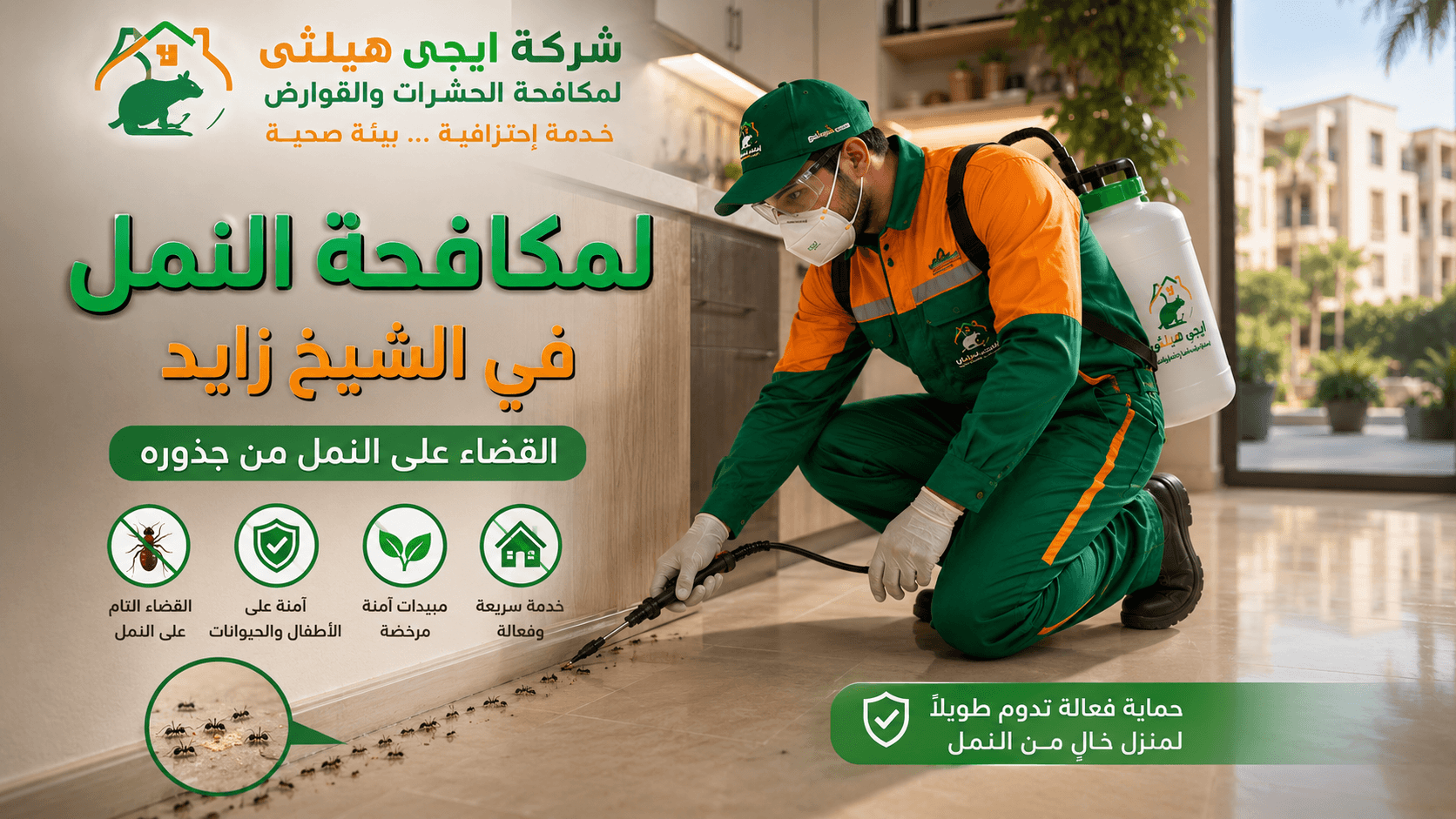 مكافحة النمل في الشيخ زايد