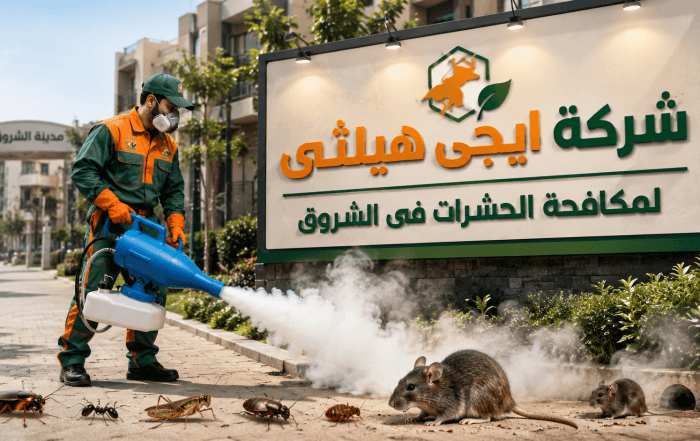شركة مكافحة حشرات في الشروق