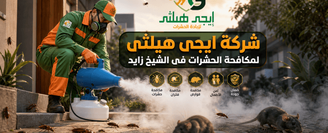 شركة مكافحة حشرات في الشيخ زايد