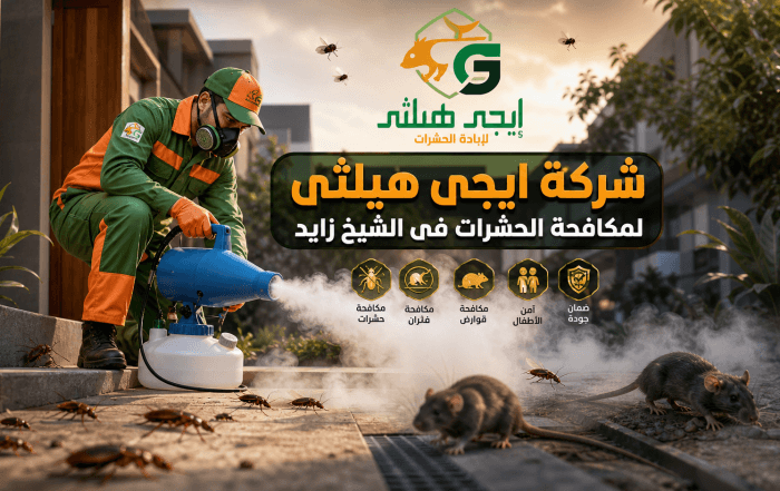 شركة مكافحة حشرات في الشيخ زايد