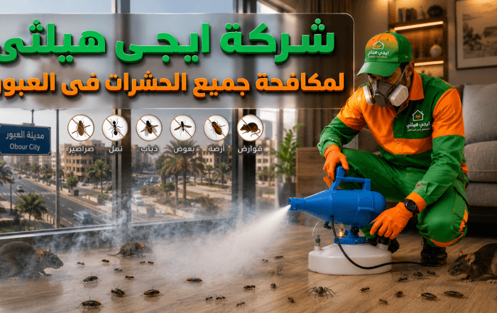 شركة مكافحة حشرات في العبور