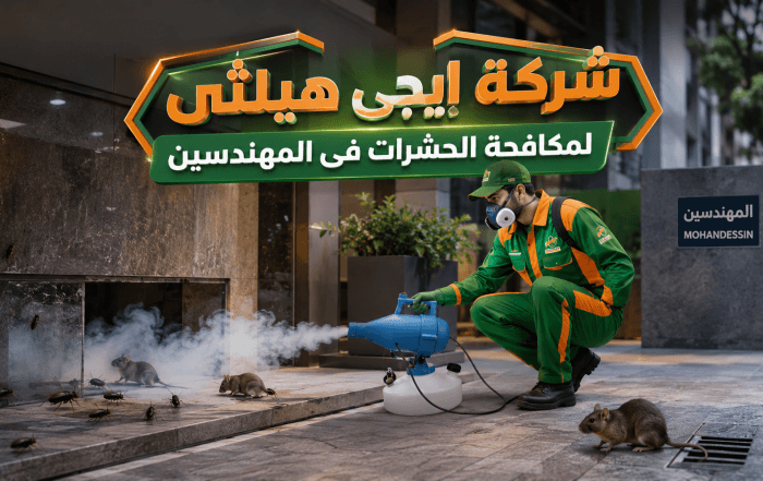 شركة مكافحة حشرات في المهندسين