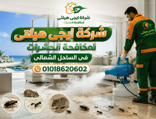 شركة مكافحة حشرات في الساحل الشمالي 01018620602 خصم 50%