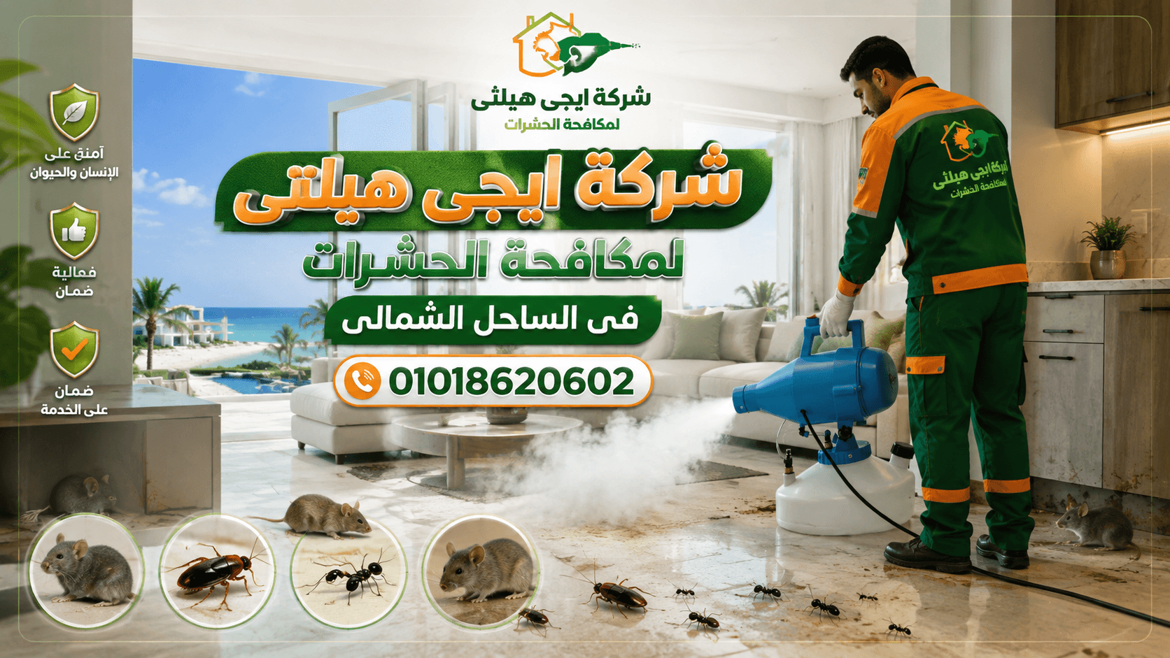 شركة مكافحة حشرات في الساحل الشمالي