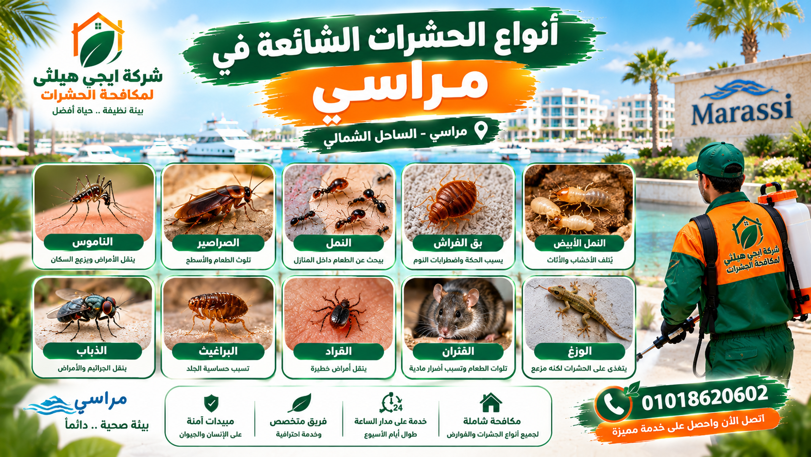 أنواع الحشرات الشائعة في مراسي