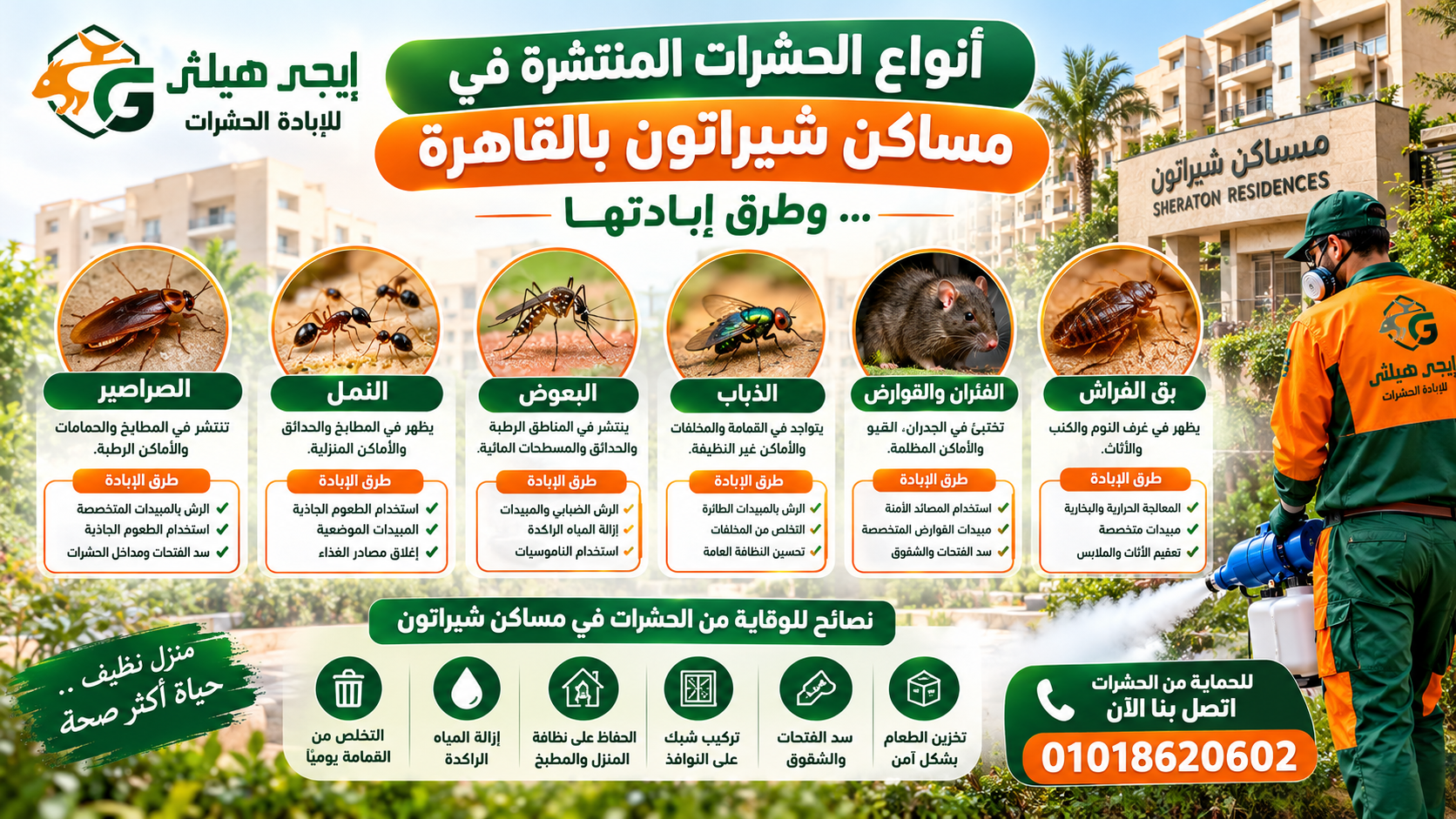 أنواع الحشرات المنتشرة في مساكن شيراتون