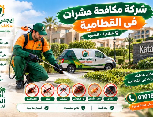 شركة مكافحة حشرات في القطامية 01018620602 خصم 50%