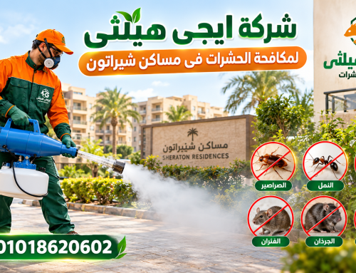 شركة مكافحة حشرات في مساكن شيراتون 01018620602