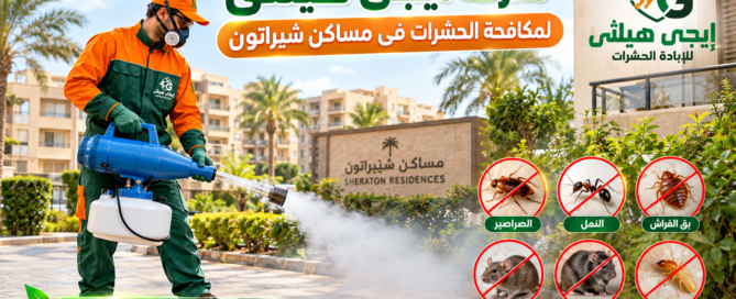 شركة مكافحة حشرات في مساكن شيراتون