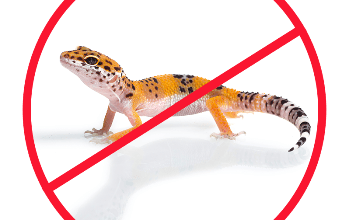 ابادة الابراص