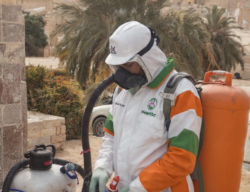 شركة مكافحة حشرات فى قنا 01018620602 بخصم 50%