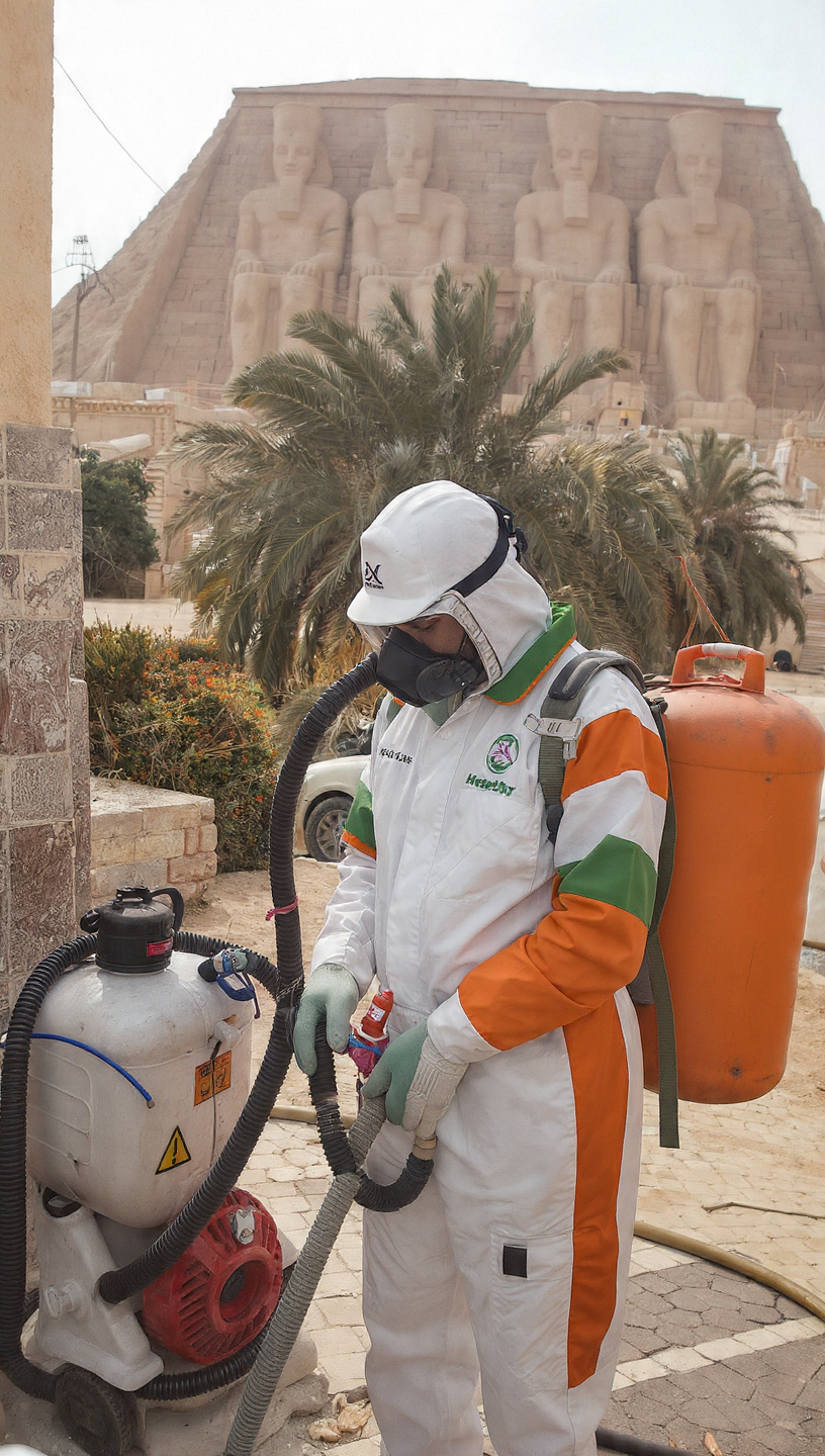 شركة مكافحة حشرات فى قنا