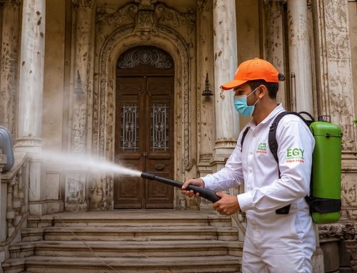 مكافحة الحشرات في أسيوط 01018620602 بخصم 60%