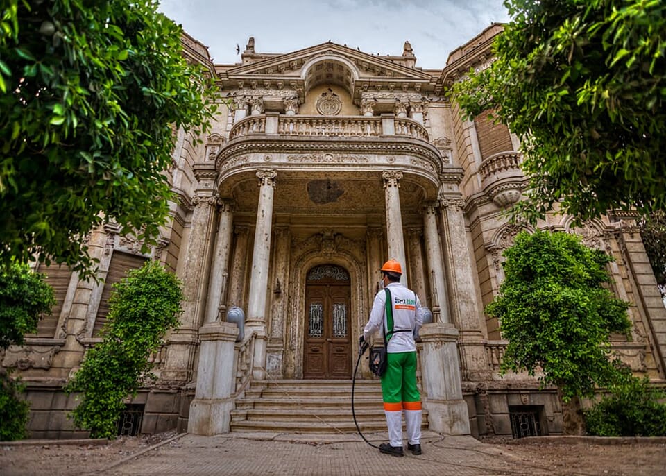 شركة ابادة حشرات فى اسيوط