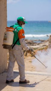 مكافحة الحشرات في الغردقة