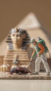 أرخص شركة مكافحة حشرات في الأقصر