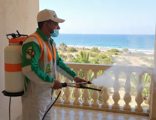 افضل شركة مكافحة حشرات في الغردقة 01018620602 بخصم 50%