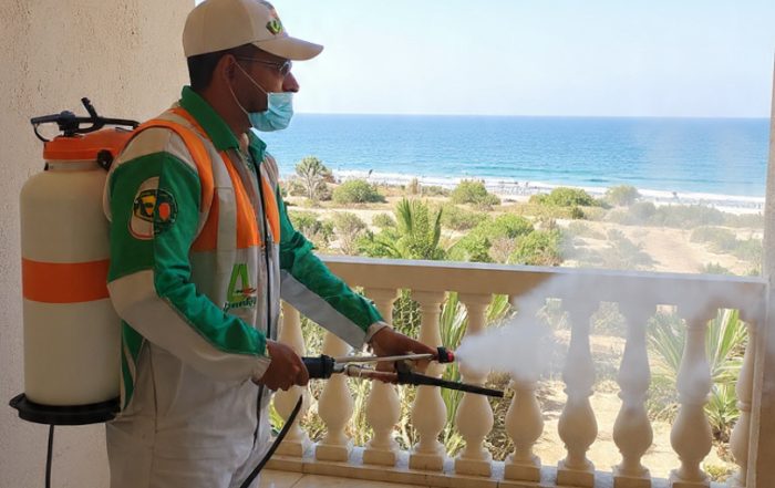 افضل شركة مكافحة حشرات في الغردقة