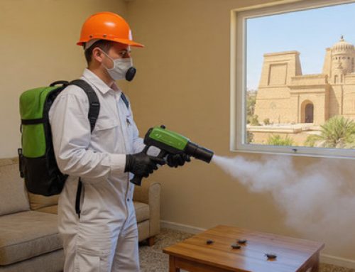 أفضل شركة مكافحة حشرات فى الأقصر 01018620602