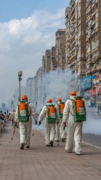 أفضل شركة إبادة حشرات في الإسكندرية