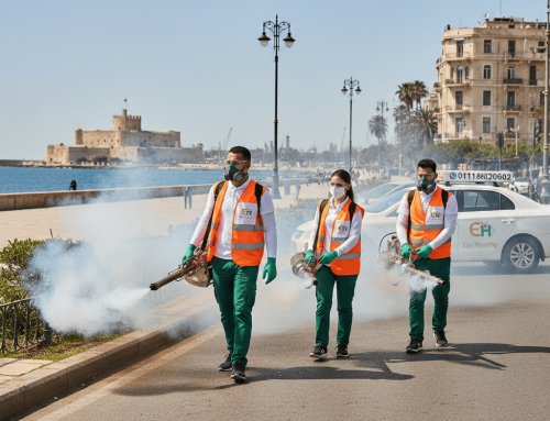 افضل شركة مكافحة حشرات فى الاسكندرية 01018620602 بخصم 60%