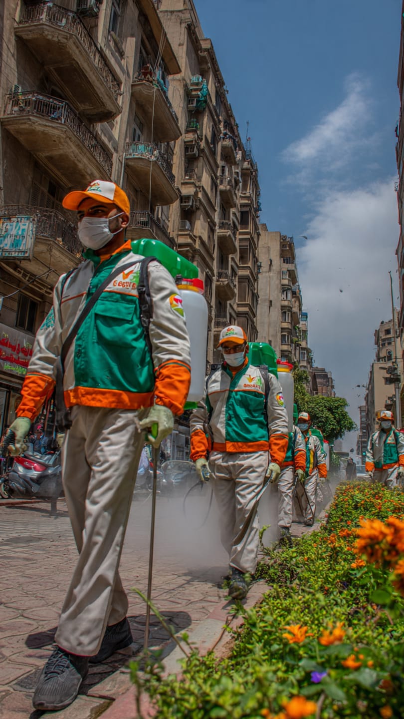 إبادة حشرات في الإسكندرية