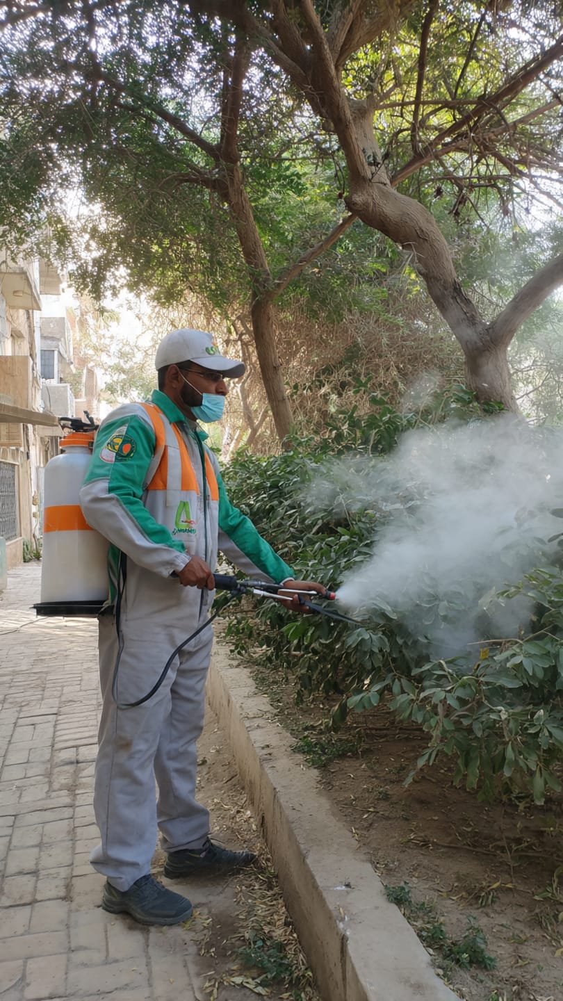 شركة مكافحة حشرات بورسعيد