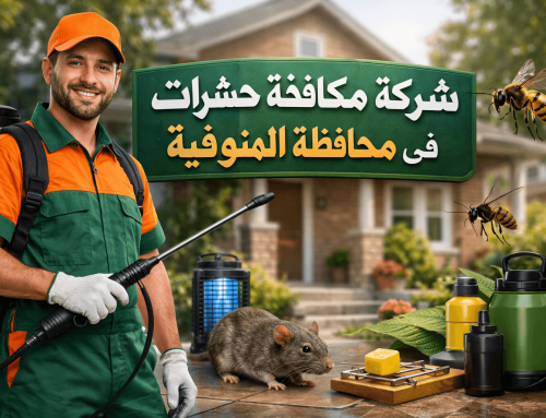 أفضل شركة مكافحة حشرات في المنوفية 01018620602 بخصم 60%