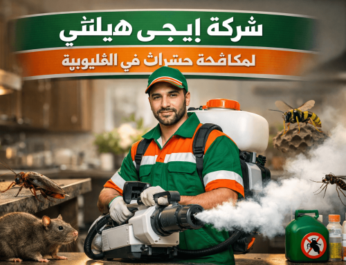 أفضل شركة مكافحة حشرات فى القليوبية – 01018620602 بخصم 60٪