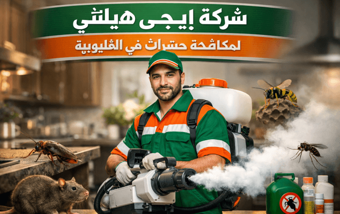 مكافحة حشرات في القليوبية