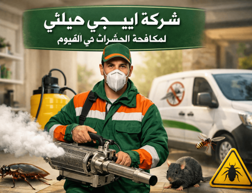 أفضل شركة مكافحة حشرات في الفيوم 01018620602 بخصم 60%